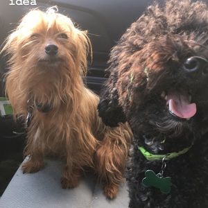 Meet your Posher, Chloe